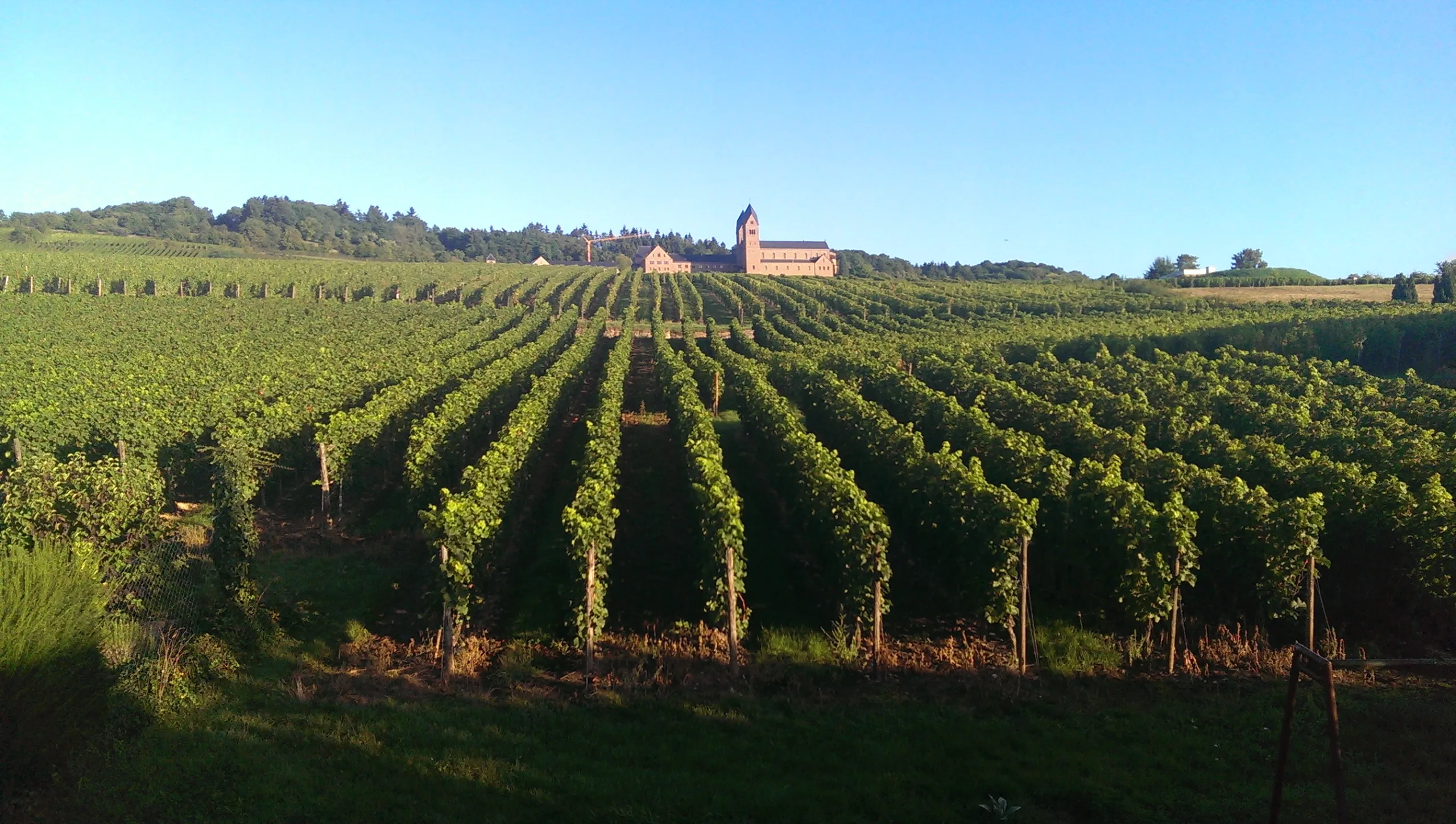 Walk in Hildegard of Bingen’s Footsteps